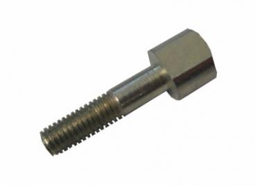 Bremsanschlagschraube M6x37