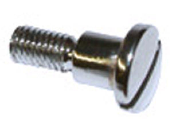 Hebelschraube (Edelstahl, poliert)