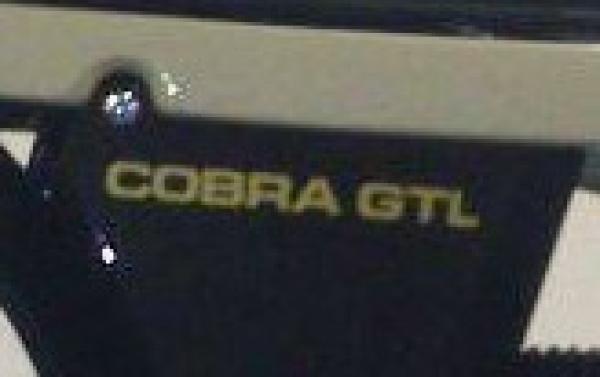 Seitendeckelaufkleber gold